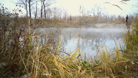 The Autumn Park. Stock Footage 98600329