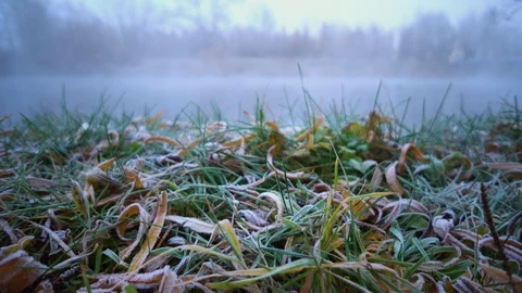 The Autumn Park. Stock Footage 98600414
