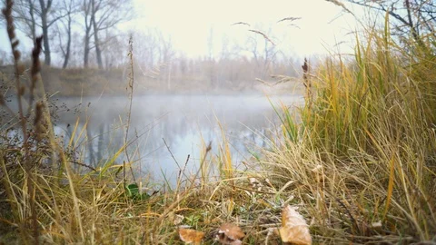 The Autumn Park. Stock Footage 98600489