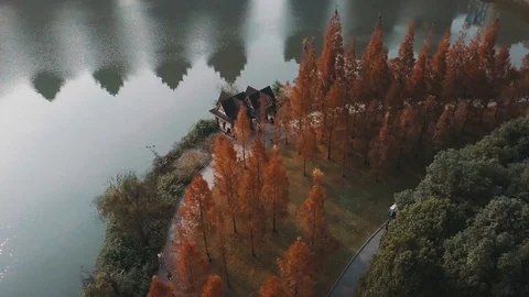 Autumn in the park Stock Footage 121661969