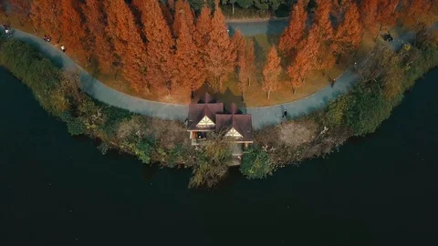 Autumn in the park Stock Footage 121662010