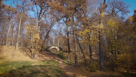 Autumn park Stock Footage 129592384