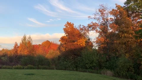 Autumn Park Stock Footage 141093369