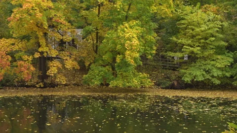 Autumn park Stockbeeldmateriaal 162556430