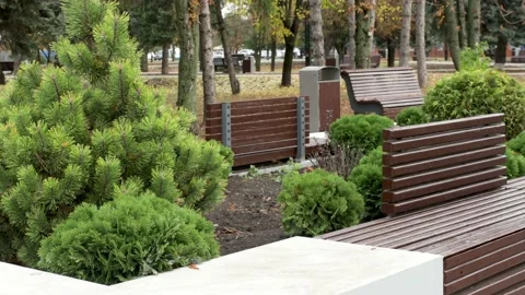 Autumn Park. Stock Footage 220839981