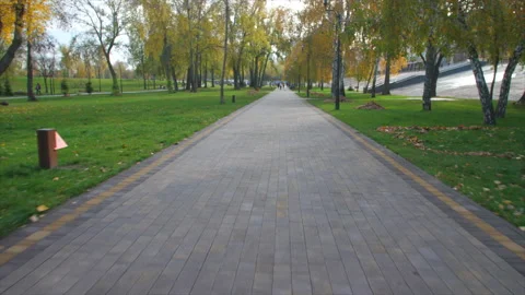 Autumn park Stock Footage 227394239