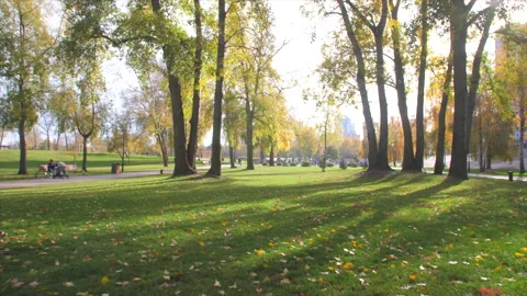 Autumn Park Stock Footage 227394274