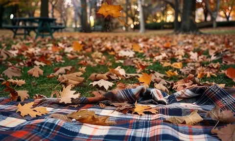 Autumn in the park Stock Footage 288191193