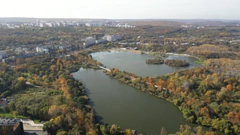 Autumn park Stock Footage 290006484