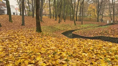 Autumn Park Landscape, Concept of Public Recreation and Community Wellbeing Stock-Footage 341864853