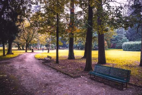 Autumn park landscape Stock Photos