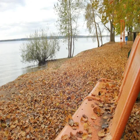 Autumn park The leaves fall on the bench side of the great lakes and slow Vidéo 69282898
