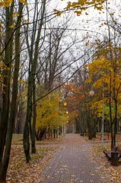 Autumn in the Park. Path in the autumn Park Stock Photos