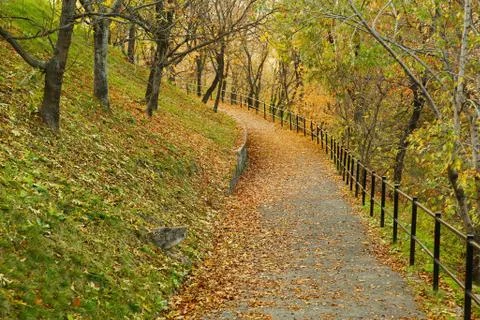 Autumn park path Stock Photos