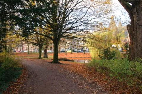 Autumn in the park Stock-Fotos