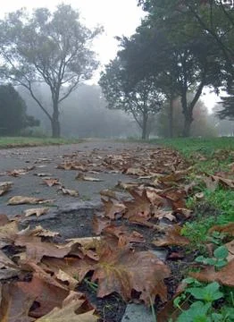 Autumn park Stock Photos