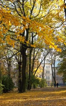 Autumn park Stock Photos