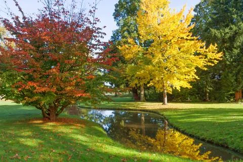 Autumn park Stock Photos
