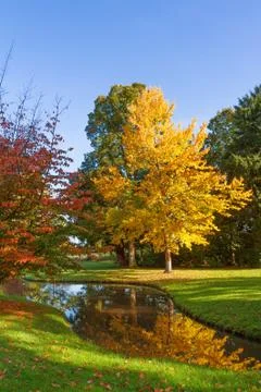 Autumn park Stock Photos