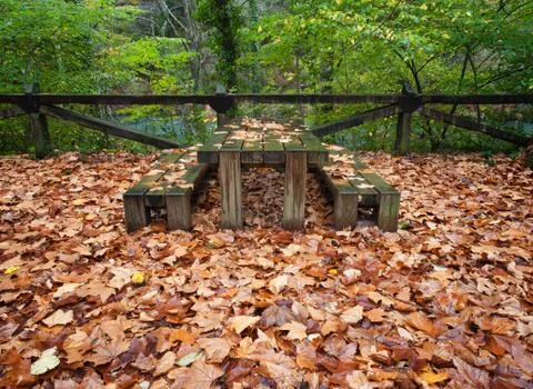Autumn in a park. Stock Photos