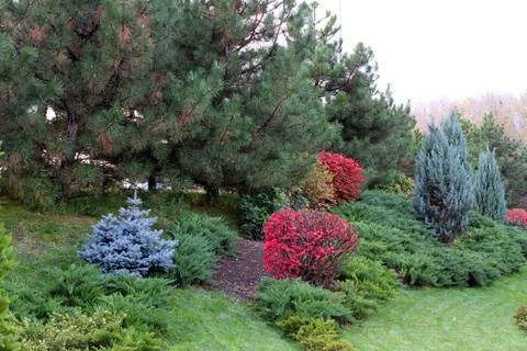 Autumn park. Stock Photos