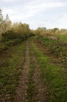 Autumn park Stock Photos