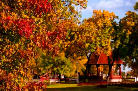Autumn in the park Stock Photos