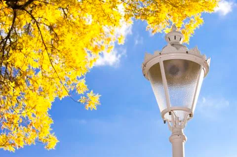 Autumn in the park Stock Photos