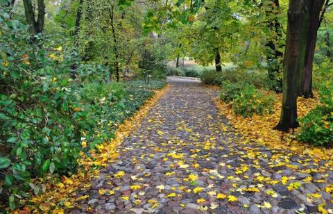 Autumn in the park Stock Photos