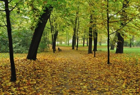 Autumn in the park Stock Photos