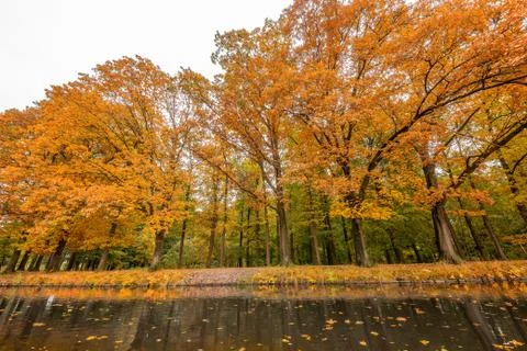 Autumn in a park Stock Photos