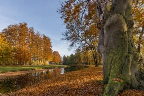 Autumn in a park Stock Photos