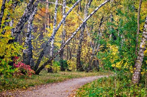 Autumn park Stock Photos