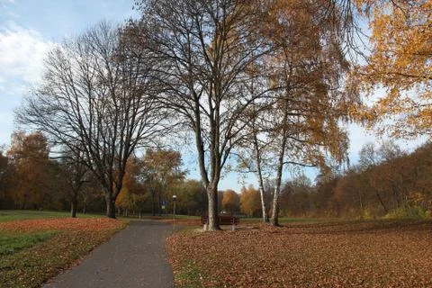 Autumn Park Stock Photos