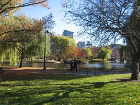 Autumn in the park Stock Photos