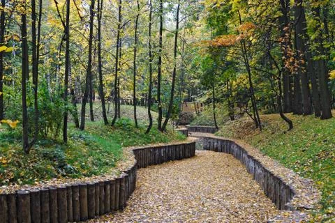 Autumn park Stock Photos