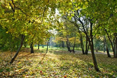 Autumn park Stock Photos