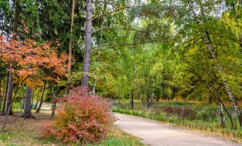 Autumn in park Stock Photos