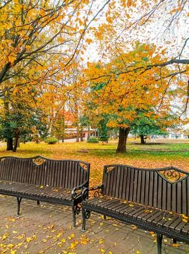 Autumn park Stock Photos