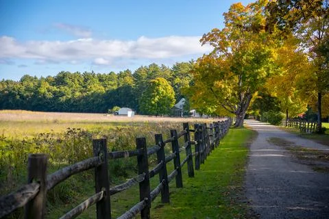 Autumn in the park Stock Photos