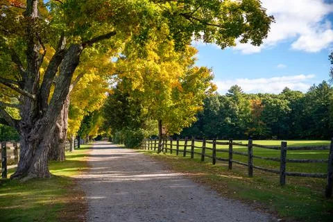 Autumn in the park Stock Photos