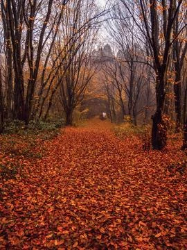 Autumn in the park Stock Photos