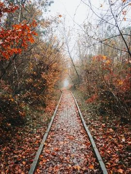 Autumn in the park Stock Photos