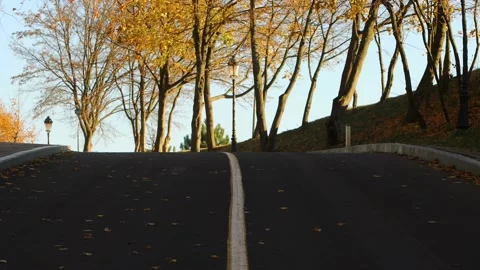Autumn park road Stock Footage 164380141