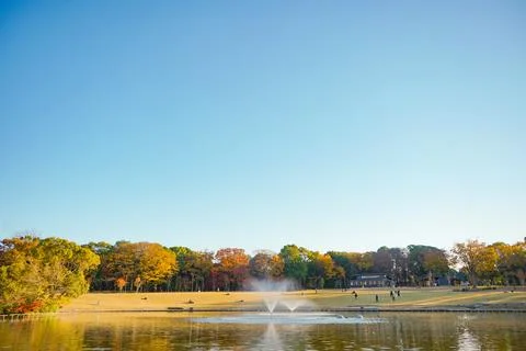 Autumn Park Scene Stock Photos