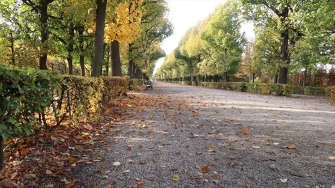 Autumn Park Schonbrunn Time Lapse Stock Footage