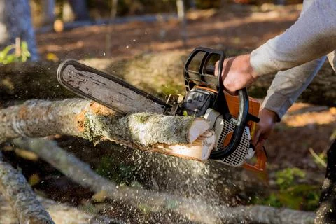 In the autumn park a worker is cutting down trees that fell after a strong Foto stock