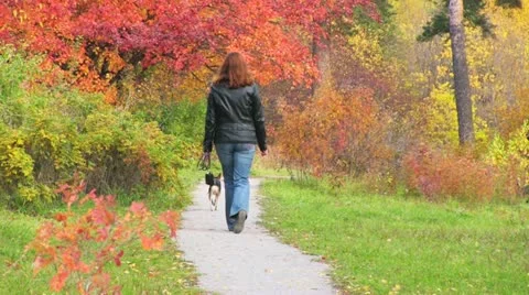 Autumn pass Видео 12248140