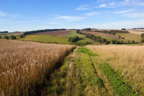 Autumn patchwork Stock Photos