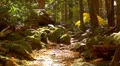 autumn path 02 HD 동영상